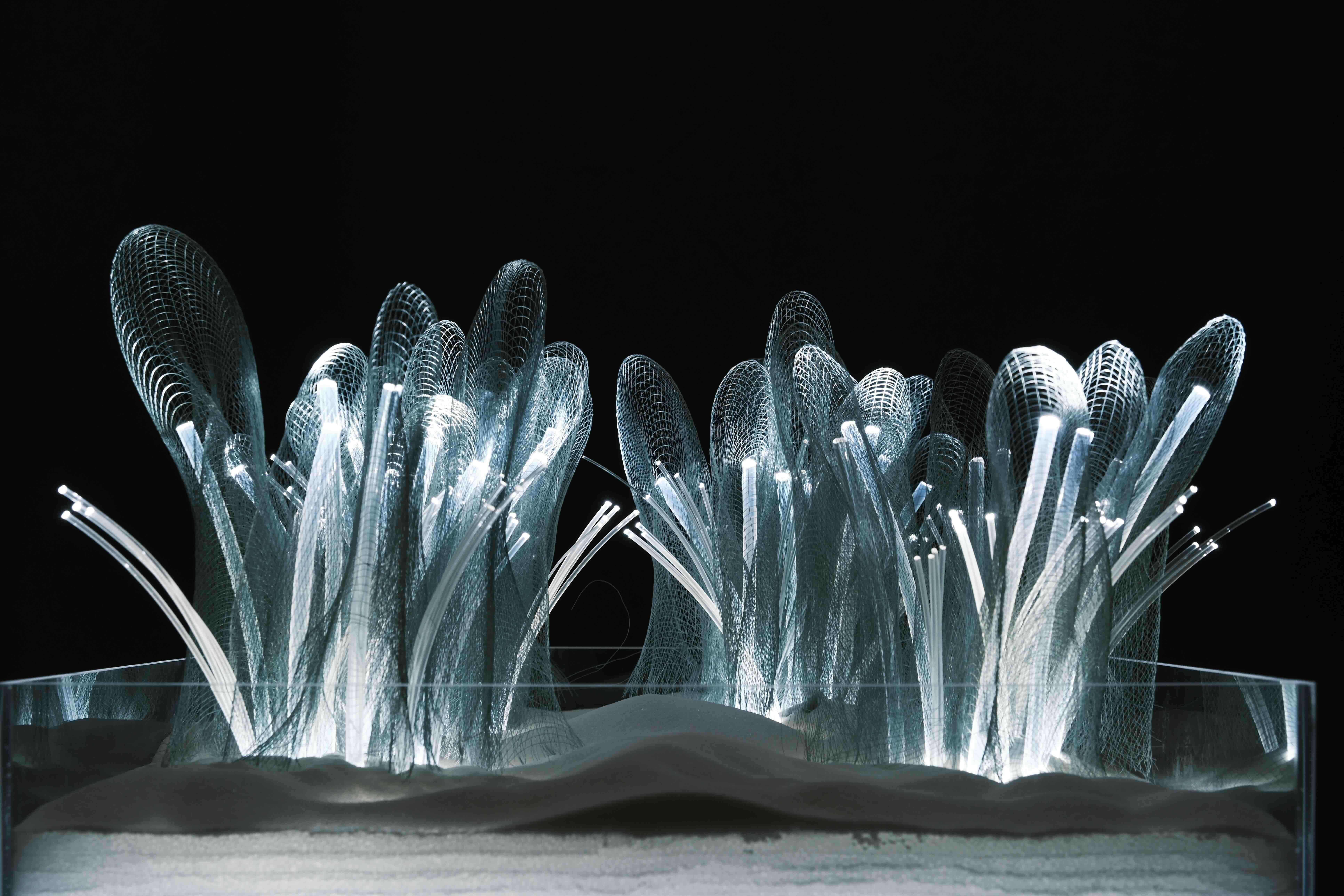 light project