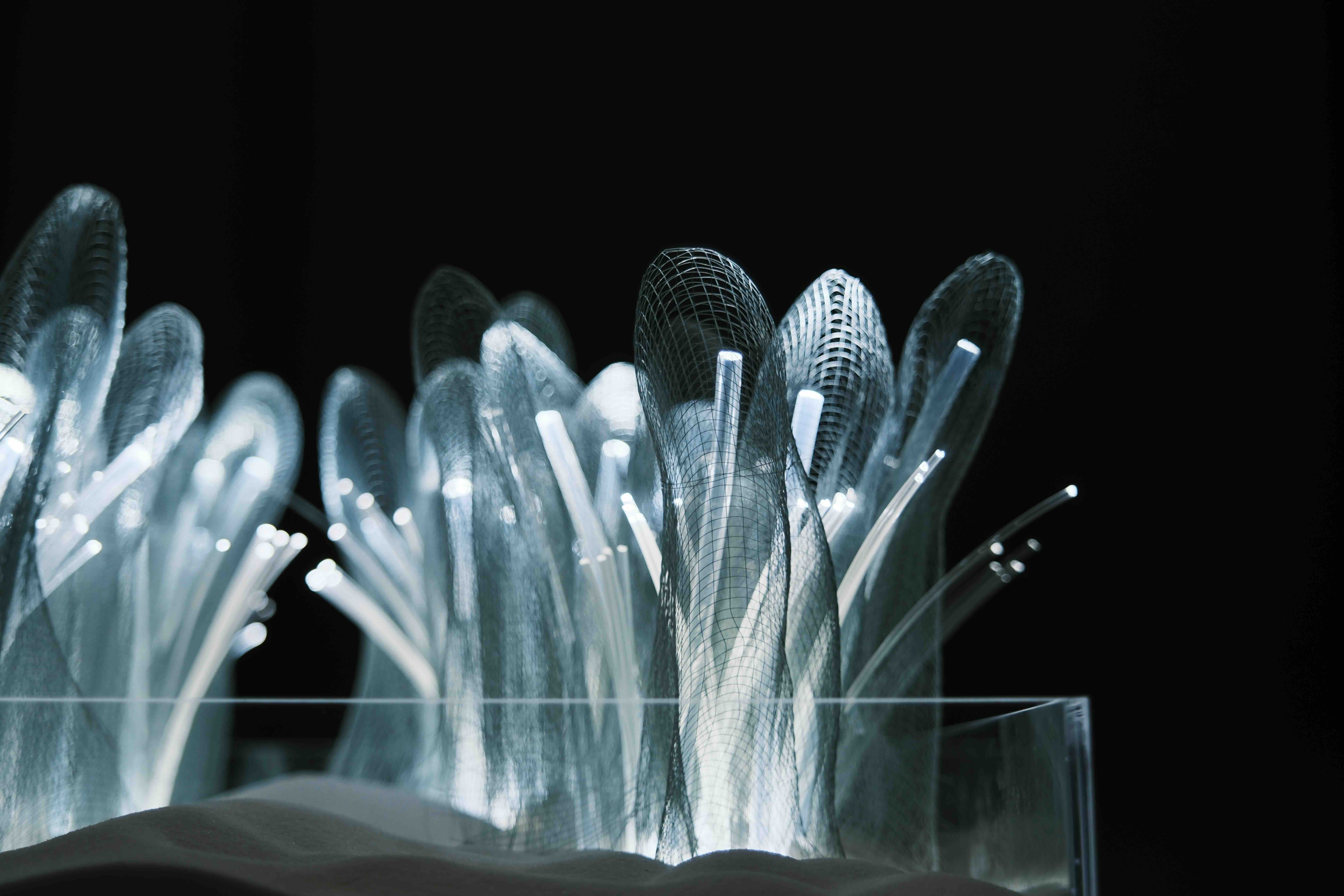 light project