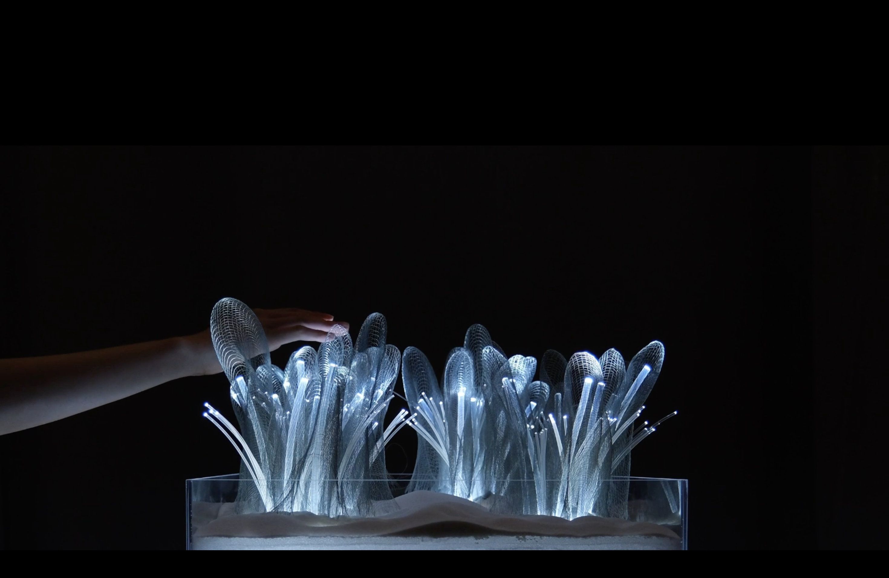 light project
